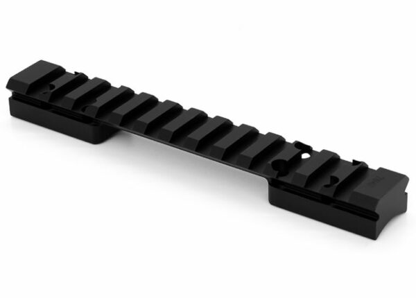 WARNE RAIL MTN SAVAGE LA 20MOA 8-40