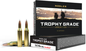 NOSLER TROPHY GRADE 243 90GR