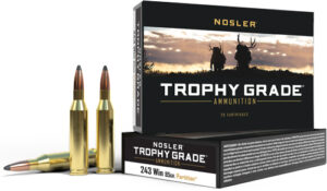 NOSLER TROPHY GRADE 243 85GR