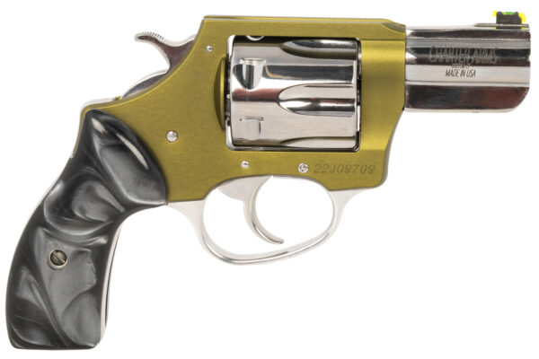 Charter Arms 53624 Undercover II Large 38 Special, 6 Shot 2.20" High Polished Stainless Steel Barrel & Cylinder, OD Green Anodized Aluminum Frame, Black Pearlite Grip, Exposed Hammer