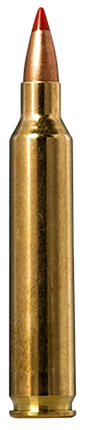 Norma Ammunition 20156502  Tipstrike 204Ruger 40gr V-Max 20 Per Box/10 Case