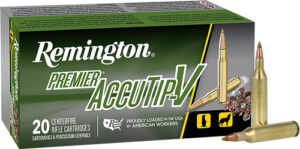 REMINGTON 17 REM 20GR ACCU-TIP - BT 20RD 10BX/CS